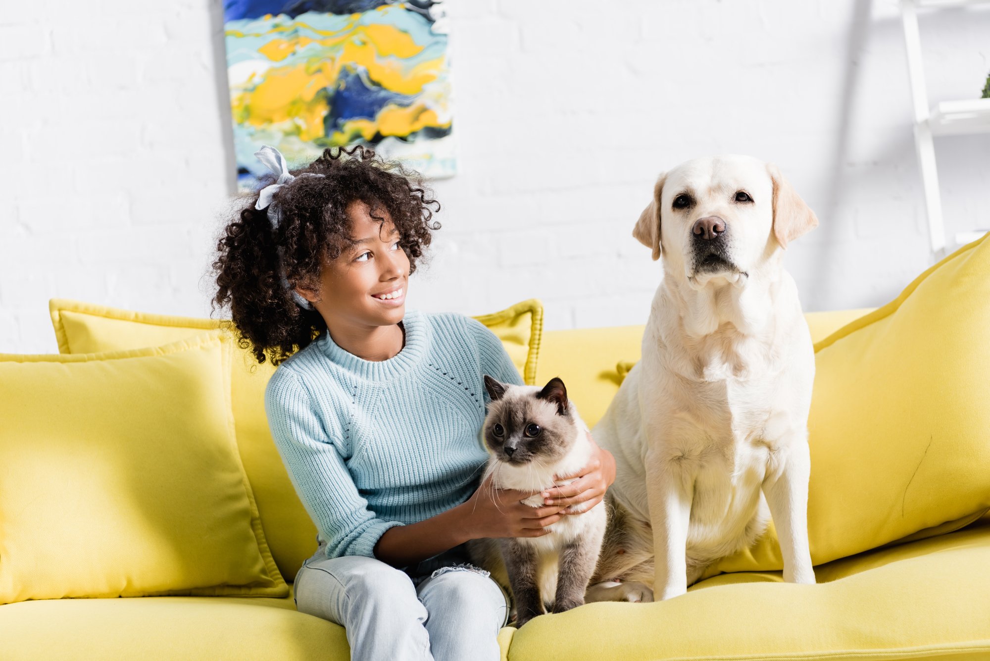 Cheerful girl with headband embracing siamese cat and looking at retriever sitting on yellow sofa, on blurred background